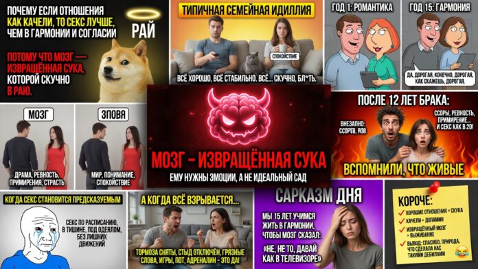 Почему если отношения как качели, то секс лучше, чем в гармонии и согласии? Почему если отношения как качели, то секс лучше, чем в гармонии и согласии?